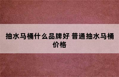 抽水马桶什么品牌好 普通抽水马桶价格